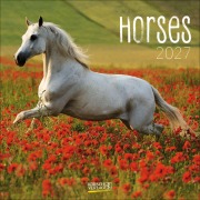 Cover-Bild zum Titel 'Horses 2027' von ''