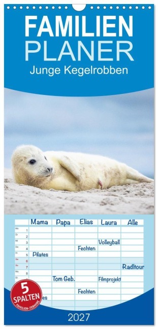 Familienplaner 2027 - Junge Kegelrobben mit 5 Spalten (Wandkalender, 21 x 45 cm) CALVENDO - David Oberholzer - www. davidoberholzer. ch