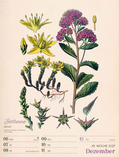 InsideView 53