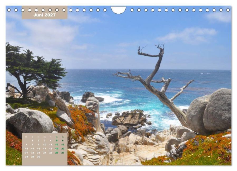 InsideView 11