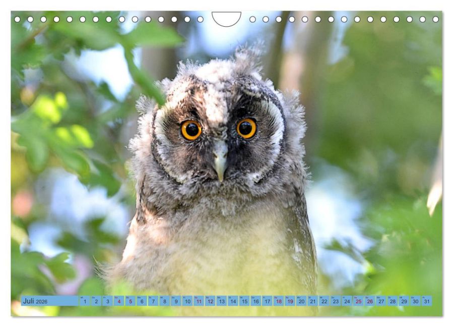 InsideView 12