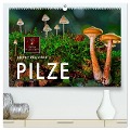 Pilze - kleine Giganten (hochwertiger Premium Wandkalender 2025 DIN A2 quer), Kunstdruck in Hochglanz - Peter Roder