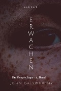 Cover-Bild zum Titel 'Erwachen' von 'John Galsworthy'