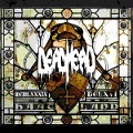 Cover-Bild zum Titel 'Haatland' von 'Dead Head'