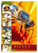 Cover-Bild zum Titel 'BIENEN - Kleine Nützlinge ganz nah (Wandkalender 2026 DIN A3 hoch), CALVENDO Monatskalender' von 'Andrea Dreegmeyer'