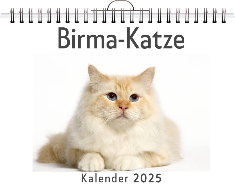 Birma-Katze - Marie Schröder