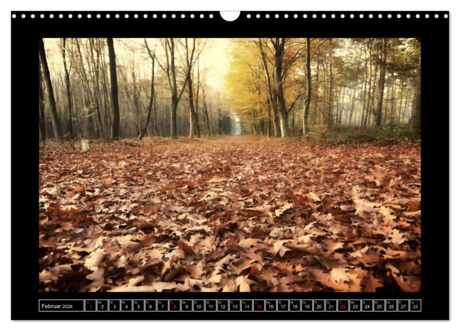 InsideView 7