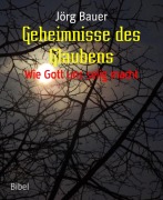 Cover-Bild zum Titel 'Geheimnisse des Glaubens' von 'Jörg Bauer'