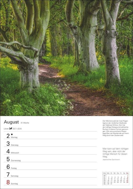InsideView 12
