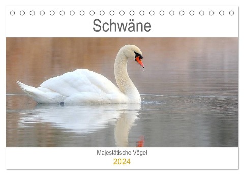 Schwäne Majestätische Vögel (Tischkalender 2024 DIN A5 quer), CALVENDO Monatskalender - J. R. Bogner
