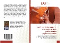 Cover-Bild zum Titel 'Système d'information: métaphore de la performance organisationnelle' von 'Jean de Dieu Elisée Koudjo'
