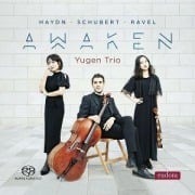 Cover-Bild zum Titel 'Awaken - Piano Trios' von 'Yugen Trio'