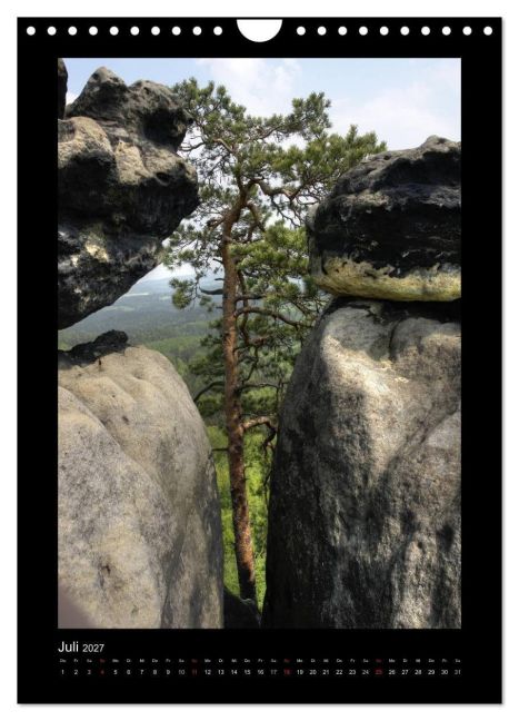 InsideView 12