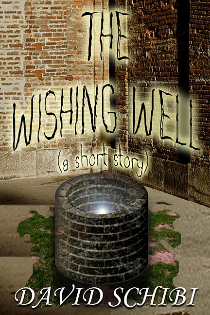 The Wishing Well - David Schibi