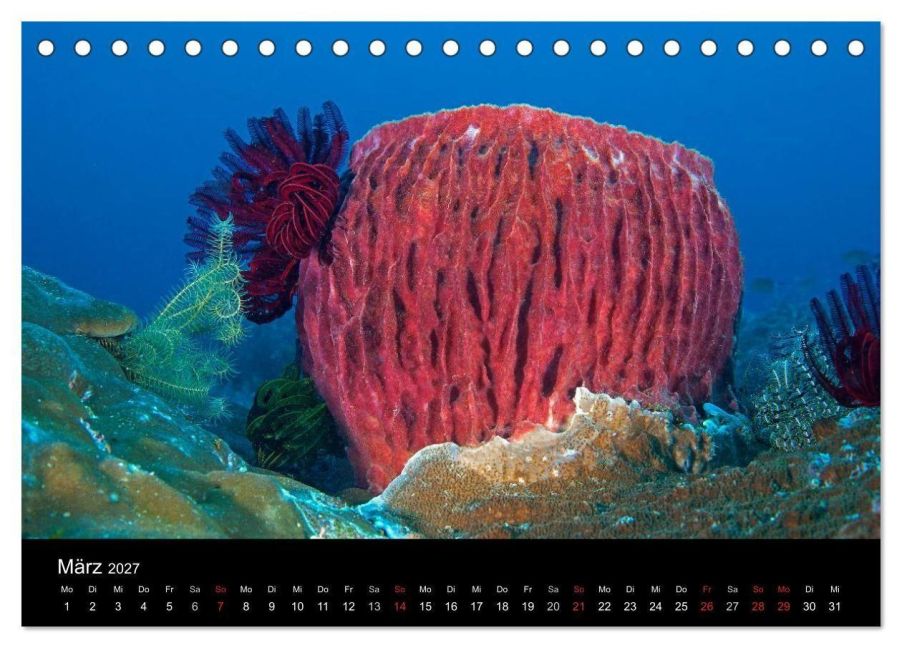 InsideView 8