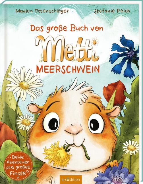 Das große Buch von Metti Meerschwein - Madlen Ottenschläger