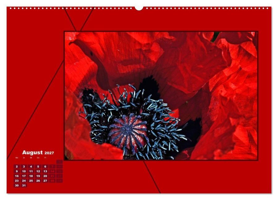InsideView 12