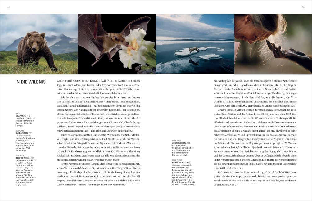 InsideView 4