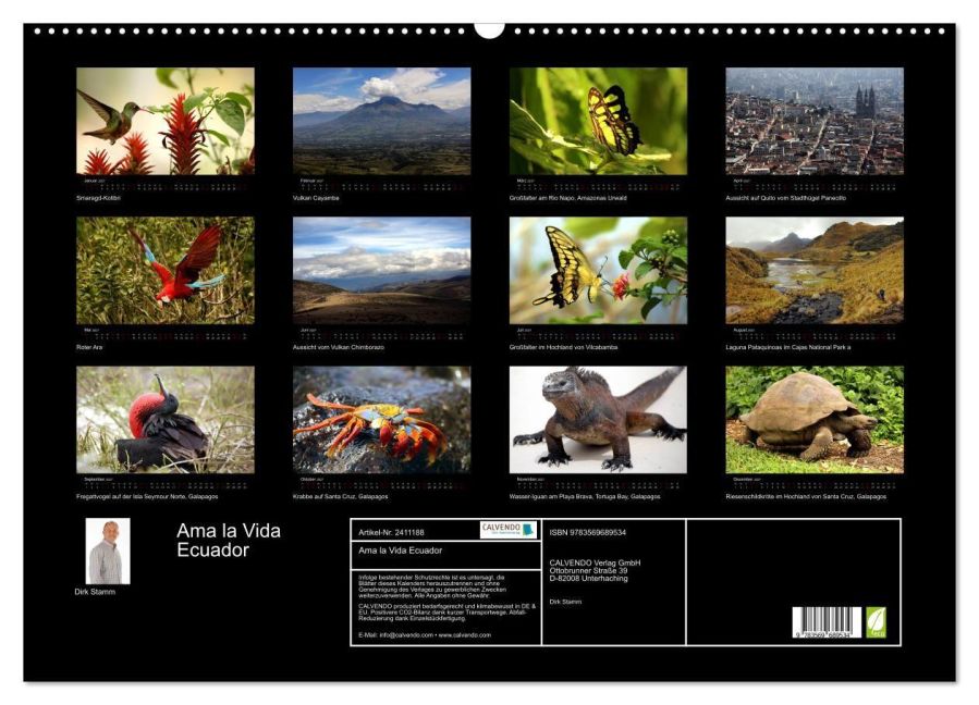 InsideView 5