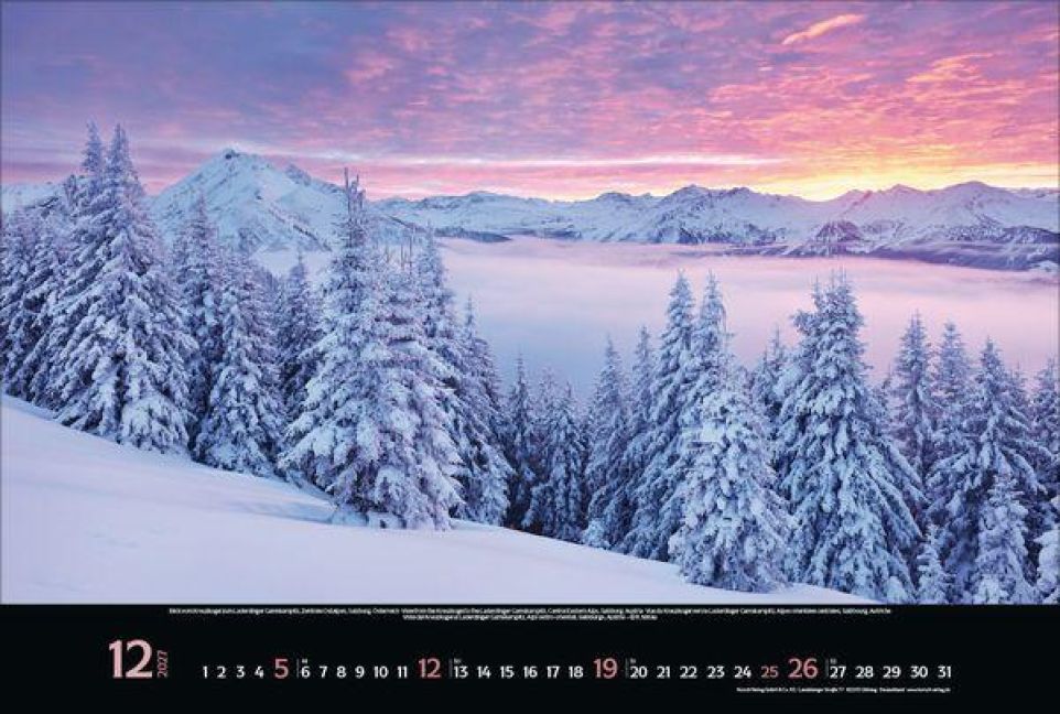 InsideView 12