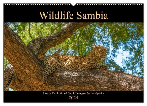 Wildlife Sambia (Wandkalender 2024 DIN A2 quer), CALVENDO Monatskalender - Photoemotion. com Photo4emotion. com