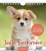 Wandkalender Süße Tierkinder 2026 - 
