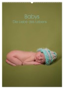 Cover-Bild zum Titel 'Babys - Die Liebe des Lebens (Wandkalender 2026 DIN A2 hoch), CALVENDO Monatskalender' von 'Sascha Drömer Photography'