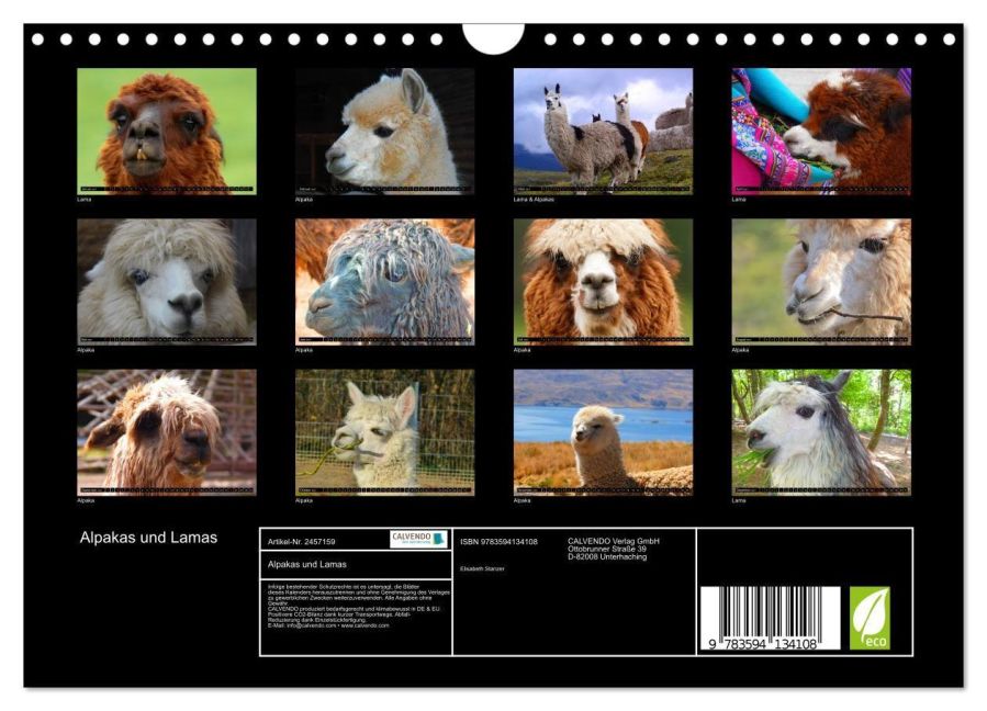 InsideView 5