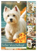 Cover-Bild zum Titel 'Süßer Wuschelkopf. West Highland White Terrier Momente (Wandkalender 2027 DIN A4 hoch), CALVENDO Monatskalender' von 'Rose Hurley'