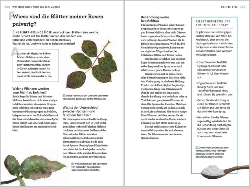 InsideView 10