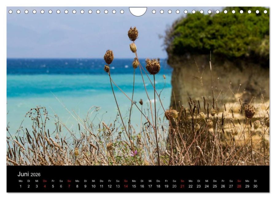 InsideView 11