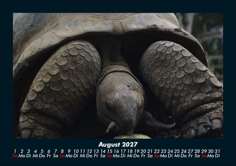 InsideView 12