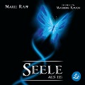 Cover-Bild zum Titel 'Seele aus Eis' von 'Marie Rapp'