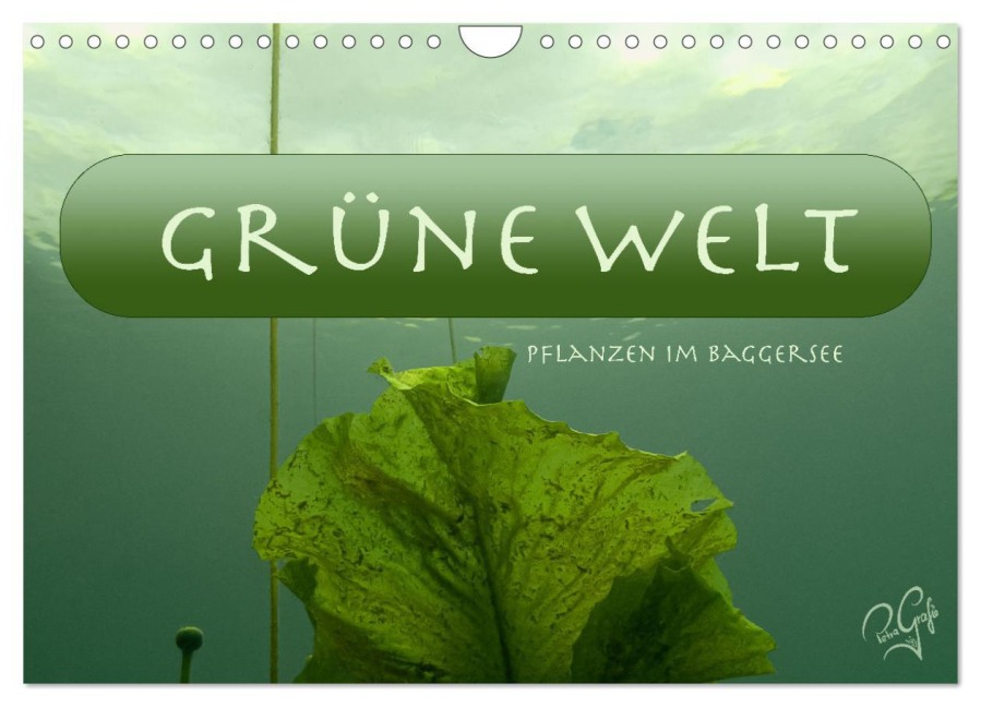 Baggersee - die grüne Welt (Wandkalender 2025 DIN A4 quer), CALVENDO Monatskalender - Petragrafie Petragrafie143