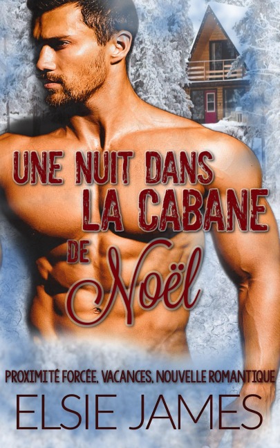 Une nuit dans la cabane de Noël - Elsie James
