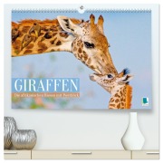 Giraffen: Die afrikanischen Riesen mit Weitblick (hochwertiger Premium Wandkalender 2026 DIN A2 quer), Kunstdruck in Hochglanz - Calvendo Calvendo