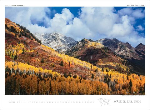 InsideView 10