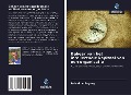 Cover-Bild zum Titel 'Beheer van het intellectuele kapitaal van een organisatie' von 'Balashov Evgeny'