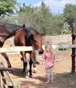 How to Horse - Penny Chivers