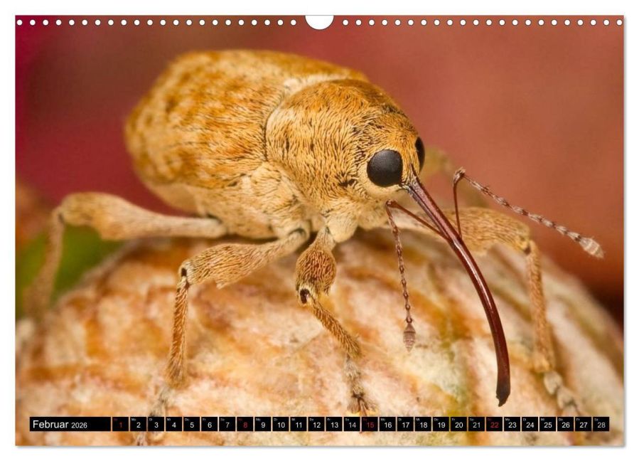 InsideView 7