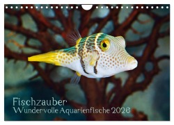 Cover-Bild zum Titel 'Fischzauber - Wundervolle Aquarienfische (Wandkalender 2026 DIN A4 quer), CALVENDO Monatskalender' von 'Rainer Plett'