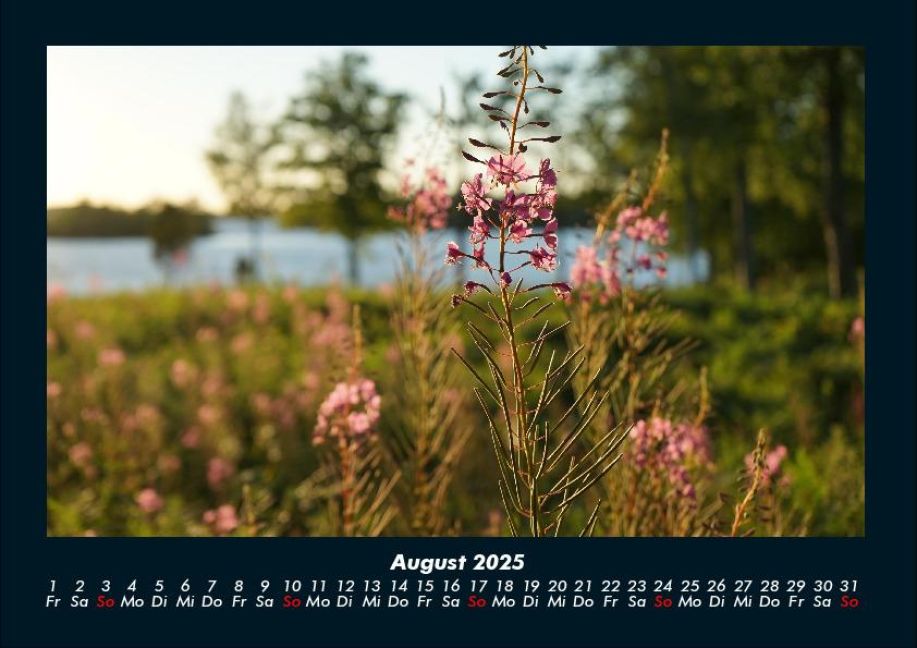 InsideView 12