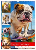 English Bulldogs. Fröhliche Dickköpfe mit Charakter (Wandkalender 2025 DIN A2 hoch), CALVENDO Monatskalender - Rose Hurley
