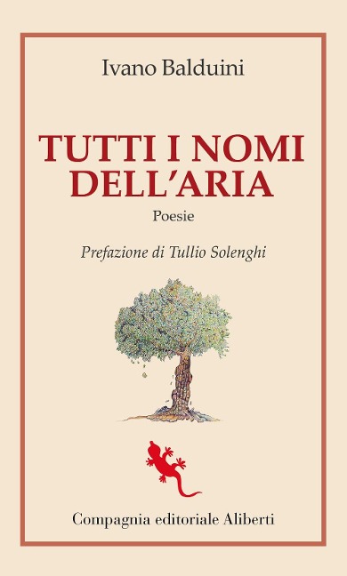 Tutti i nomi dell'aria - Ivano Balduini