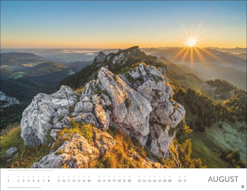 InsideView 8