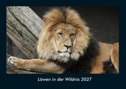 Cover-Bild zum Titel 'Löwen in der Wildnis 2027 Fotokalender DIN A4' von 'Tobias Schmitt, Kevin Heber'