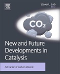 Cover-Bild zum Titel 'New and Future Developments in Catalysis' von ''