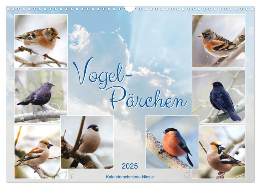 Vogel-Pärchen (Wandkalender 2025 DIN A3 quer), CALVENDO Monatskalender - Sabine Löwer