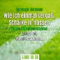 Cover-Bild zum Titel 'Wie ich einmal vergaß, Schalke zu hassen' von 'Christoph Biermann'