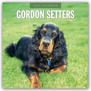 Cover-Bild zum Titel 'Gordon Setters - Gordon Setter 2026 - 16-Monatskalender' von 'Robin Red'